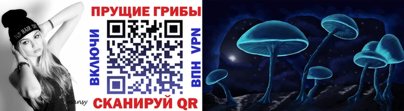 Псилоцибиновые грибы прущие грибы  Сокол 
